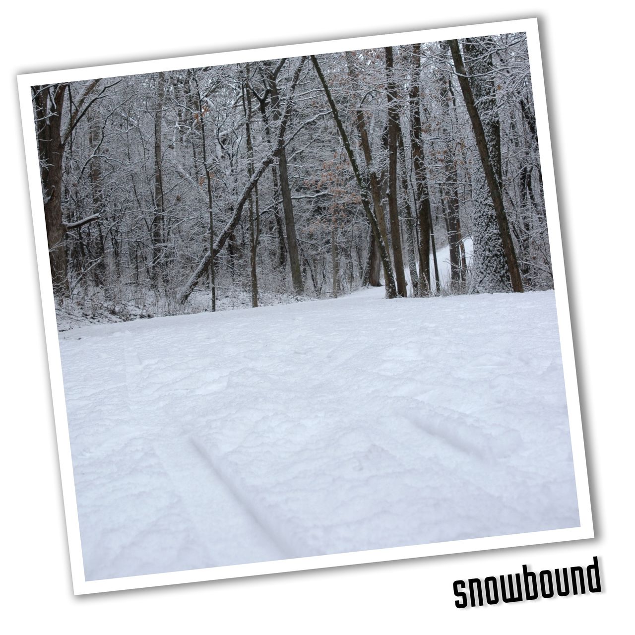 Album Cover for Snowbound