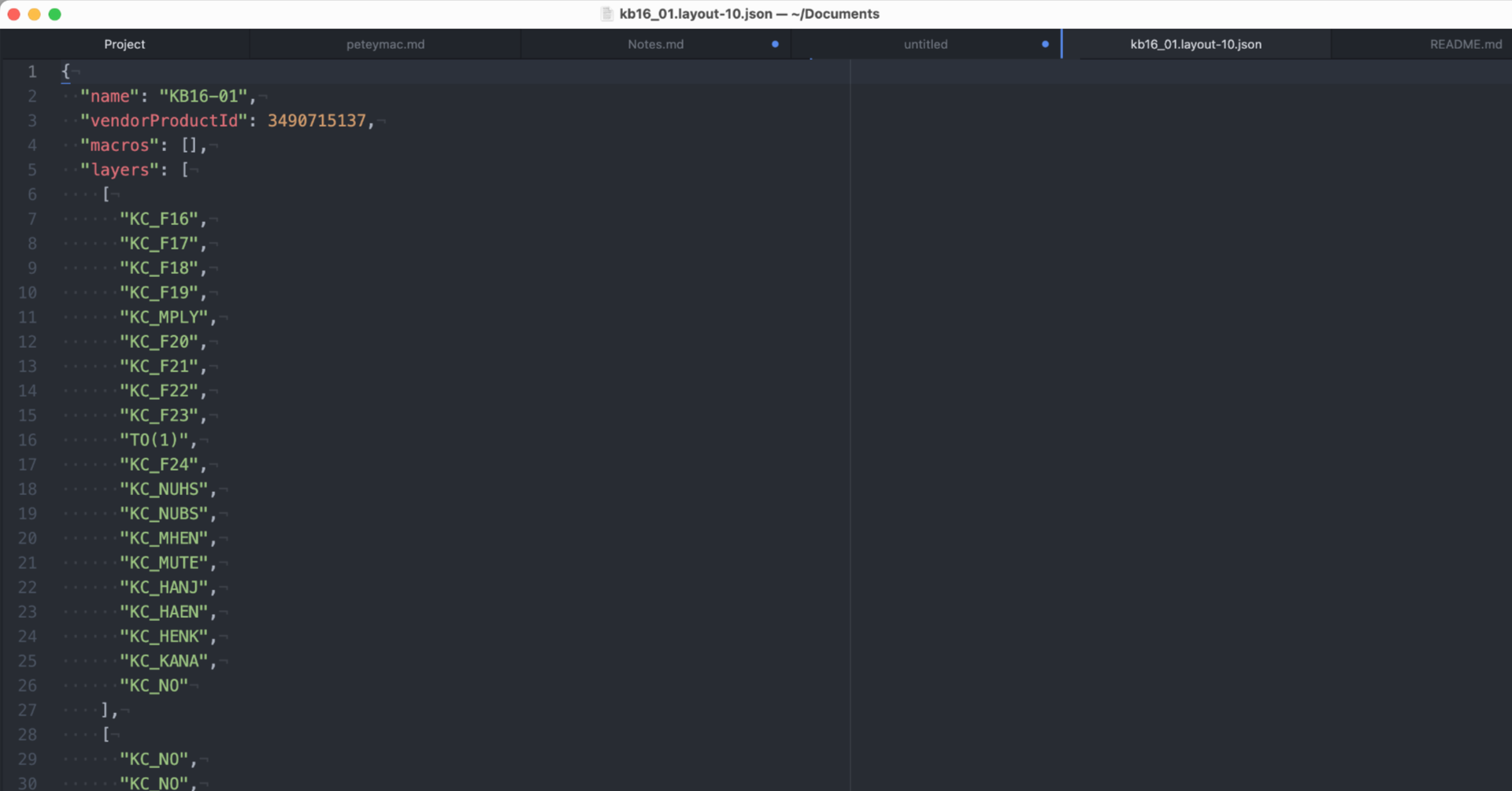 Screenshot of text editor showing JSON file